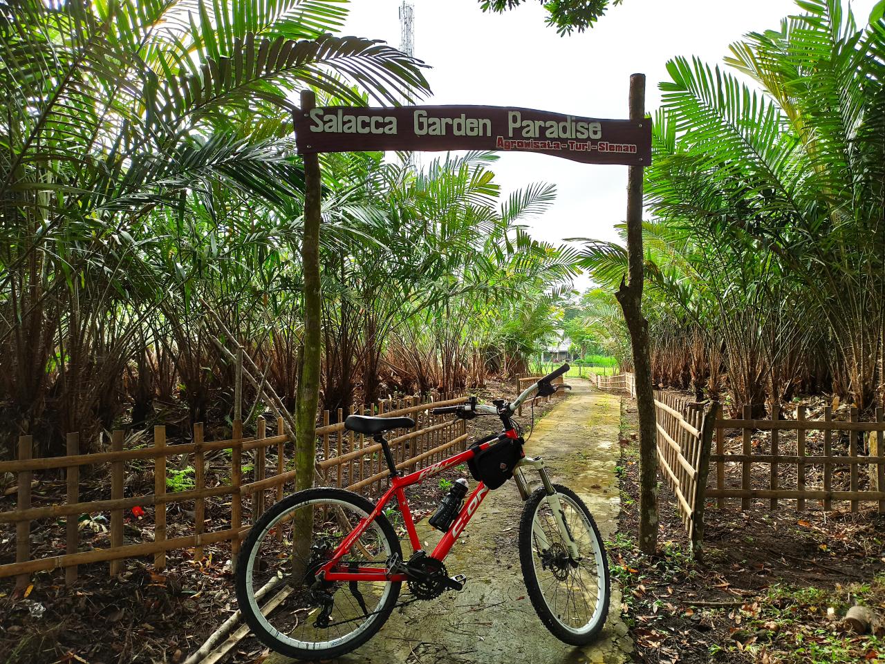 Galeri Alam