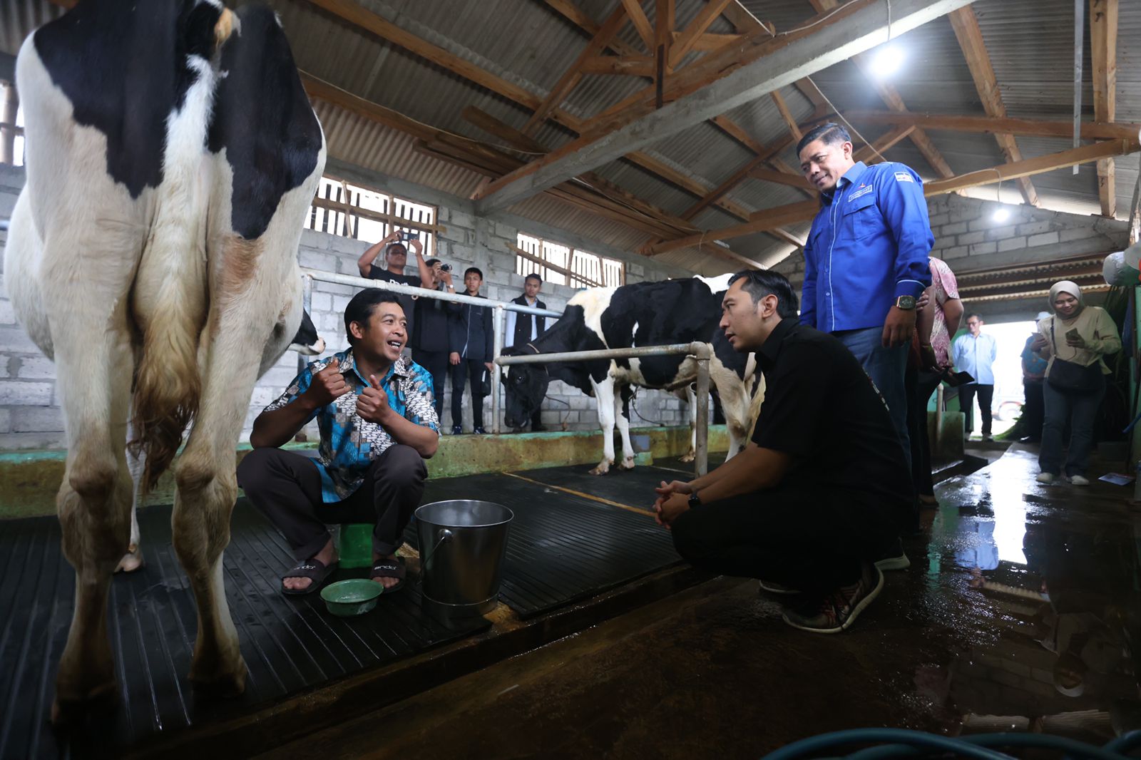 Kampung Susu Girikerto