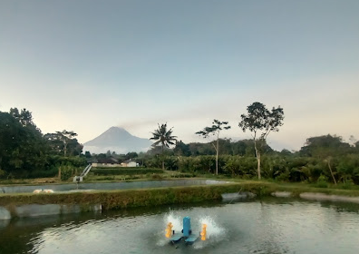 Wisata Edukasi Kembang Wonderful
