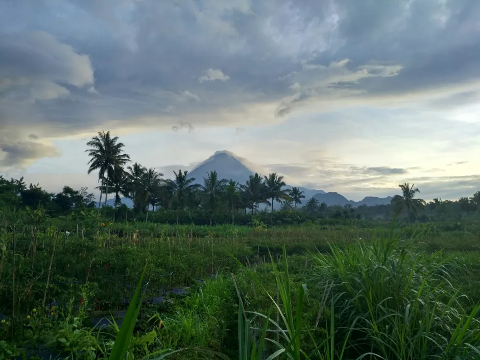 Desa Wisata Tlatar Kandangan