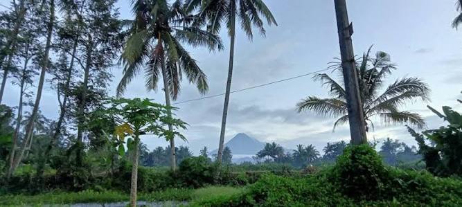 Desa Wisata Gabugan